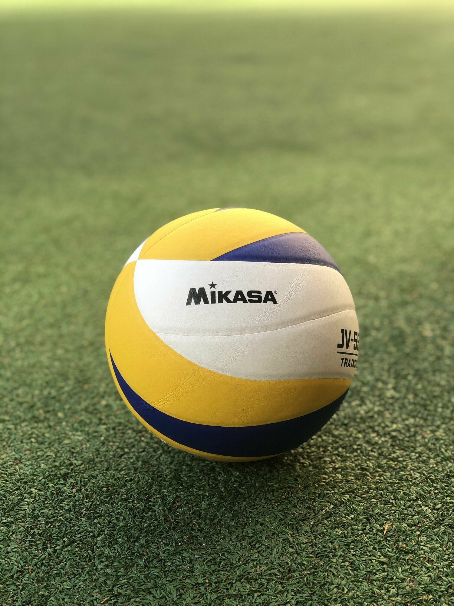Мяч волейбольный Mikasa JV-550, размер 5, профессиональный с насосом, для тренировок