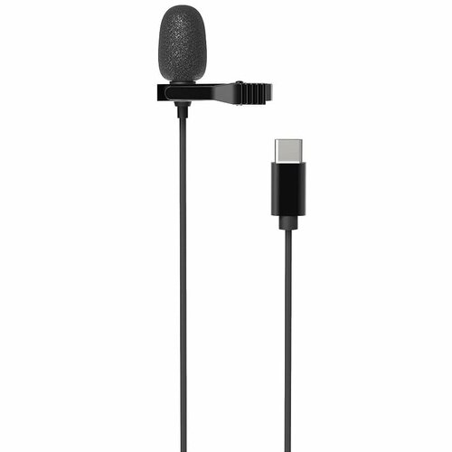 Микрофон петличный Type-C 2m черный 65000₽