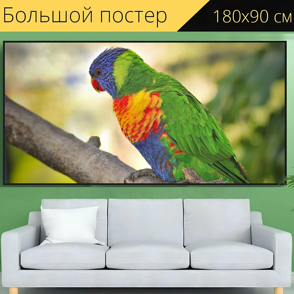 Большой постер "Животные попугай мускусный лорикет" 180 x 90 см. для интерьера