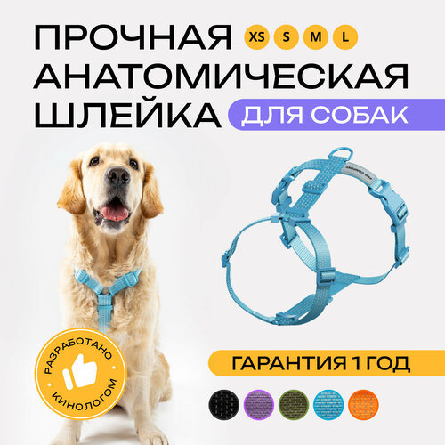 Шлейка для собак средних и крупных пород анатомическая размер L, светоотражающая, голубая