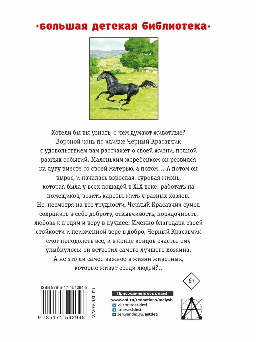 Черный красавчик (Сьюэлл Анна) - фото №7