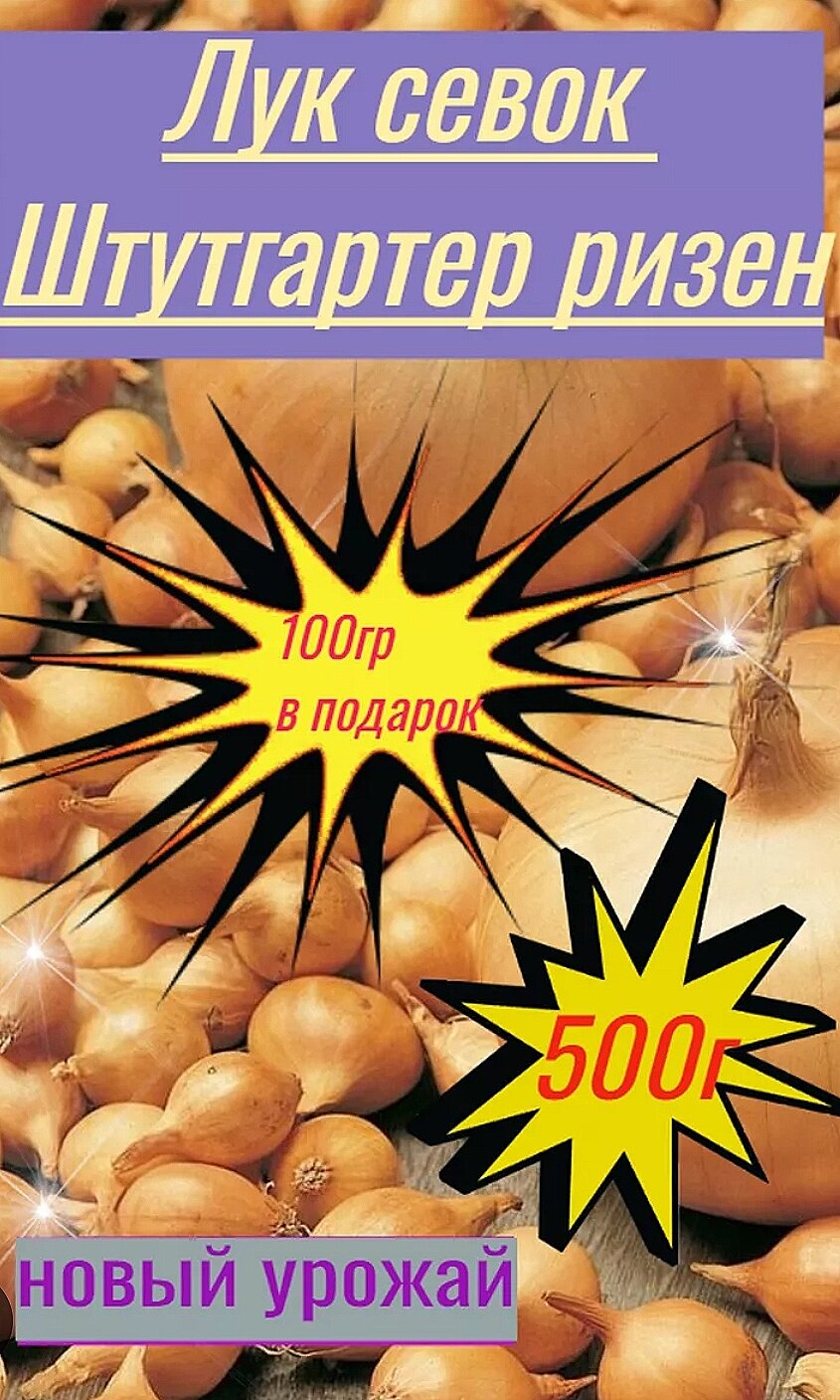 Лук севок Штугартер 500 г