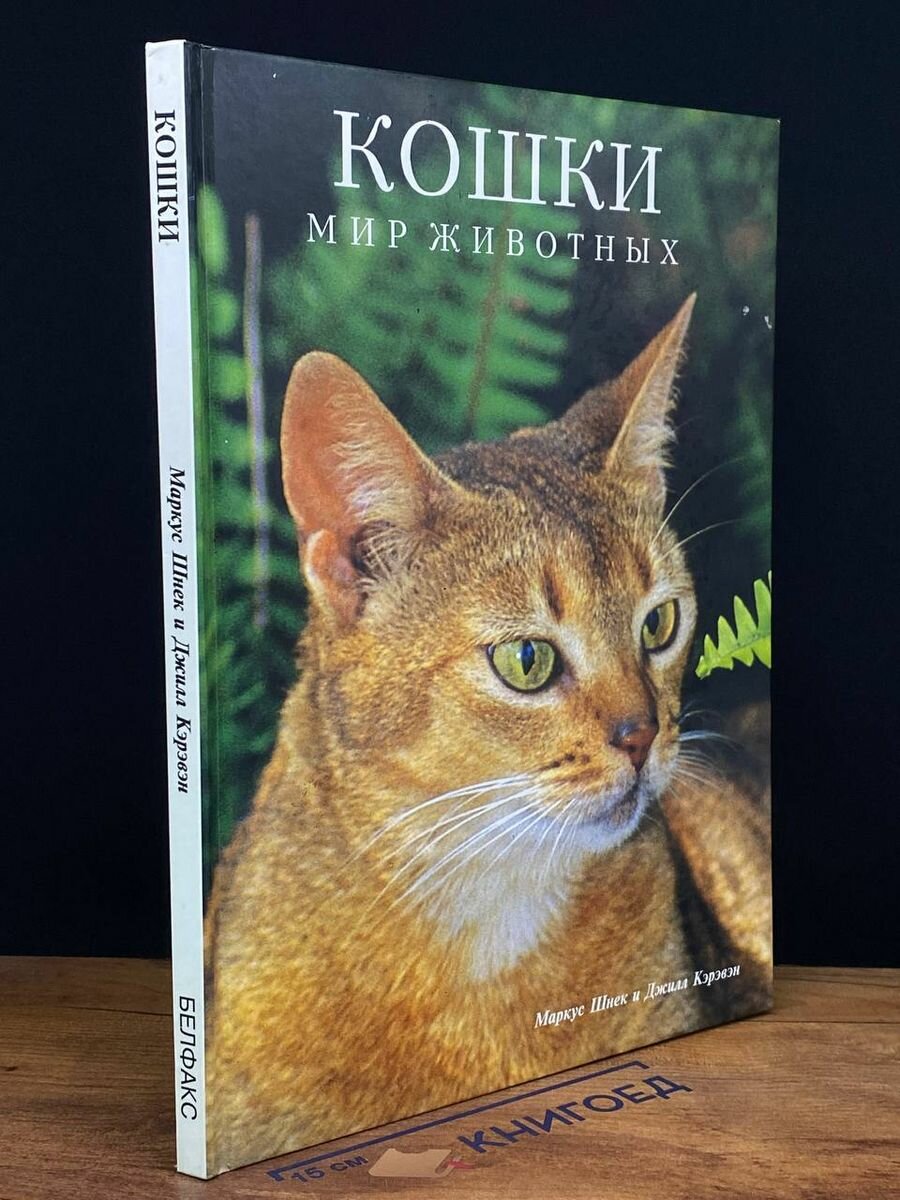 Кошки. Мир животных 1998