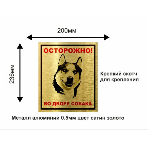 Осторожно во дворе собака табличка информационная 20х24см