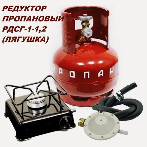 Изображение товара Редуктор газовый РДСГ-1-1.2 "Лягушка", для пропана, прямой, алюминиевый корпус