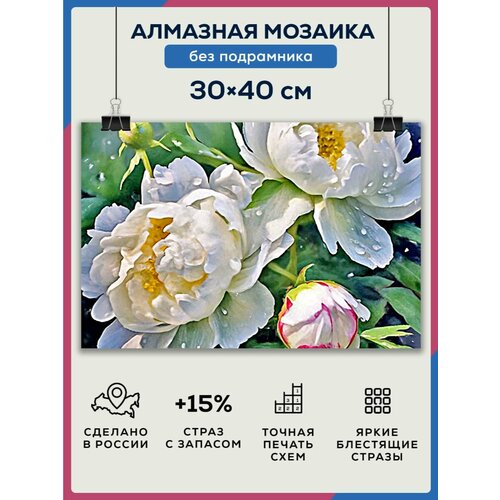 Алмазная мозаика 30x40 Белые пионы без подрамника