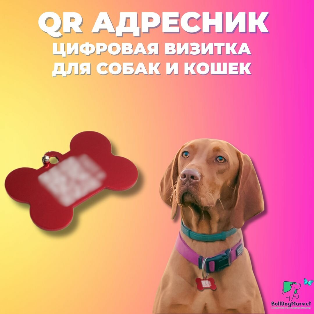 Адресник для собак и кошек с гравировкой QR кода косточка