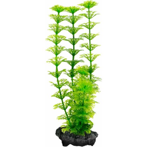 Растение для аквариума Ambulia 3 (L) 30 см. с утяжелителем искусственное растение tetra cabomba l 3 шт 30 см зелeный