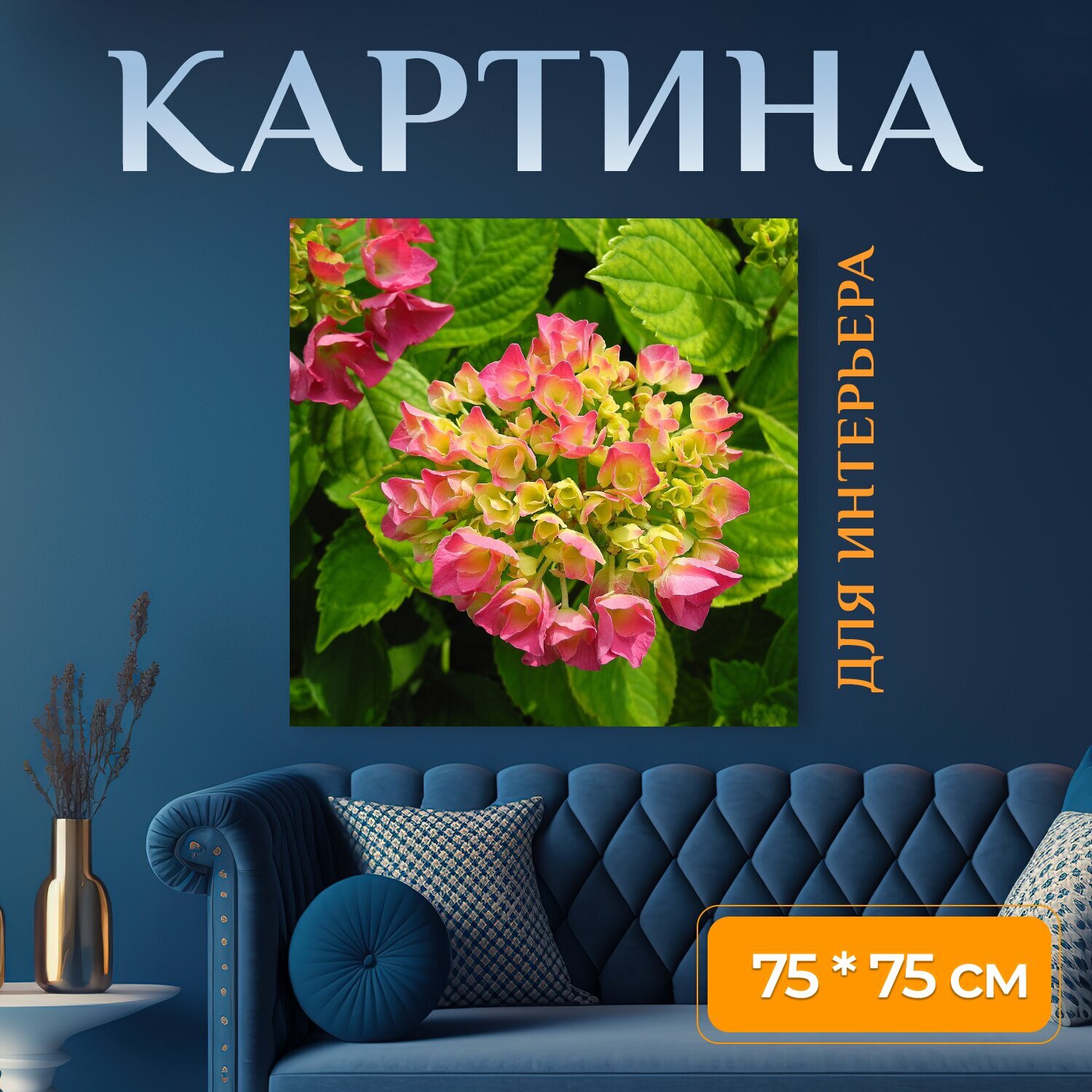 Картина на холсте "Гортензия, цветок, розовая гортензия" на подрамнике 75х75 см. для интерьера