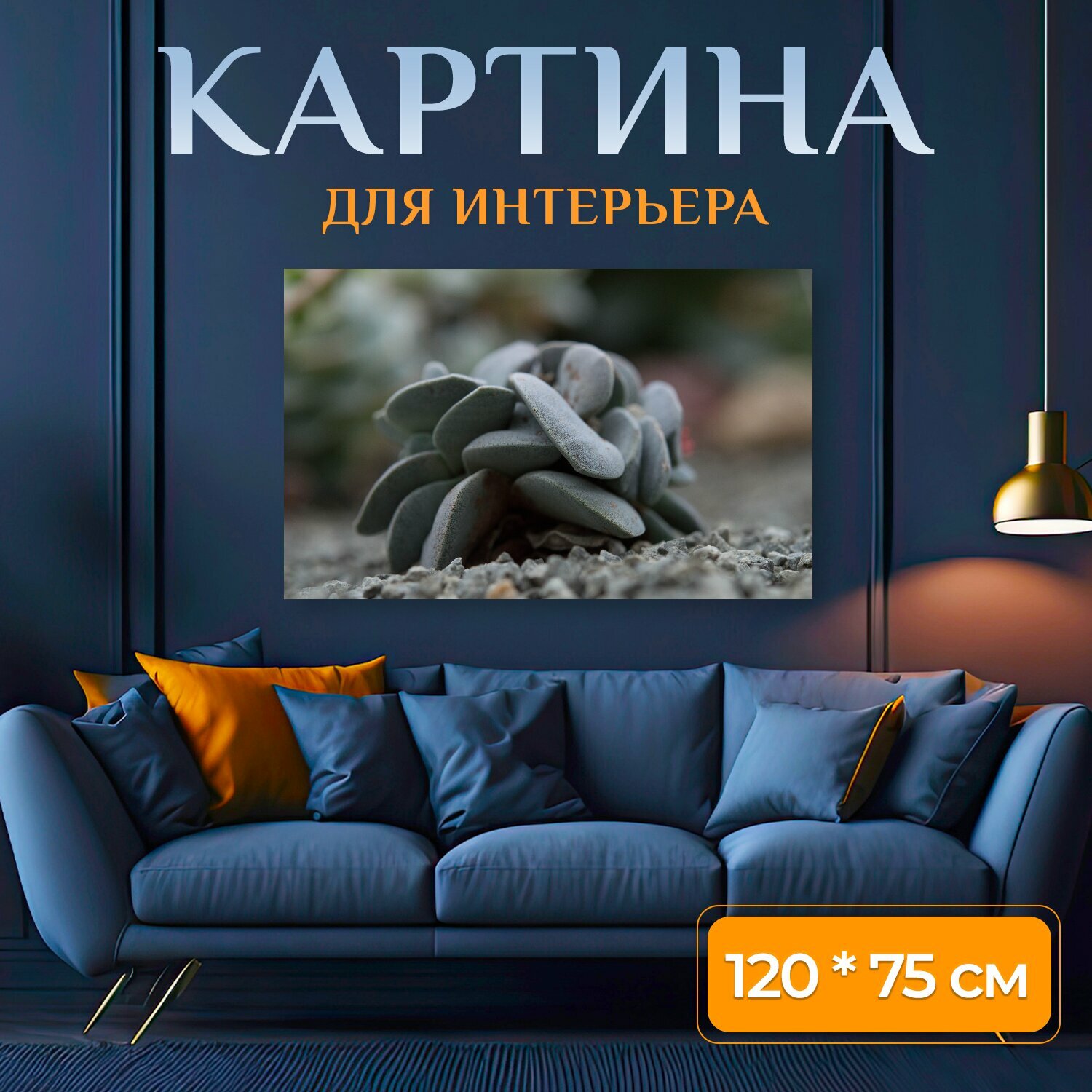 Картина на холсте "Кактус, грей, камень" на подрамнике 120х75 см. для интерьера