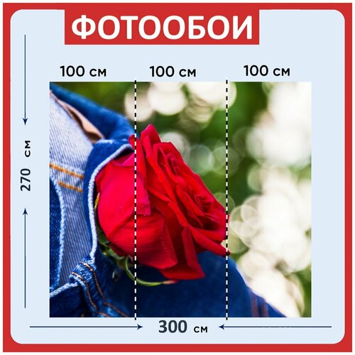 Фотообои Роза красный джинсы 300x270 см флизелиновыена стену 2940₽