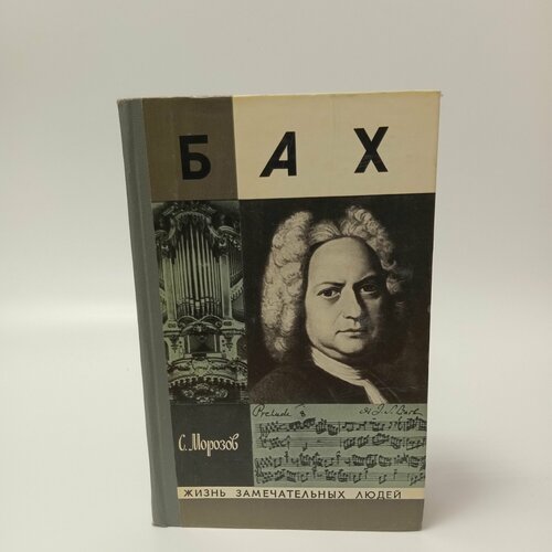 БахС Морозов 375₽