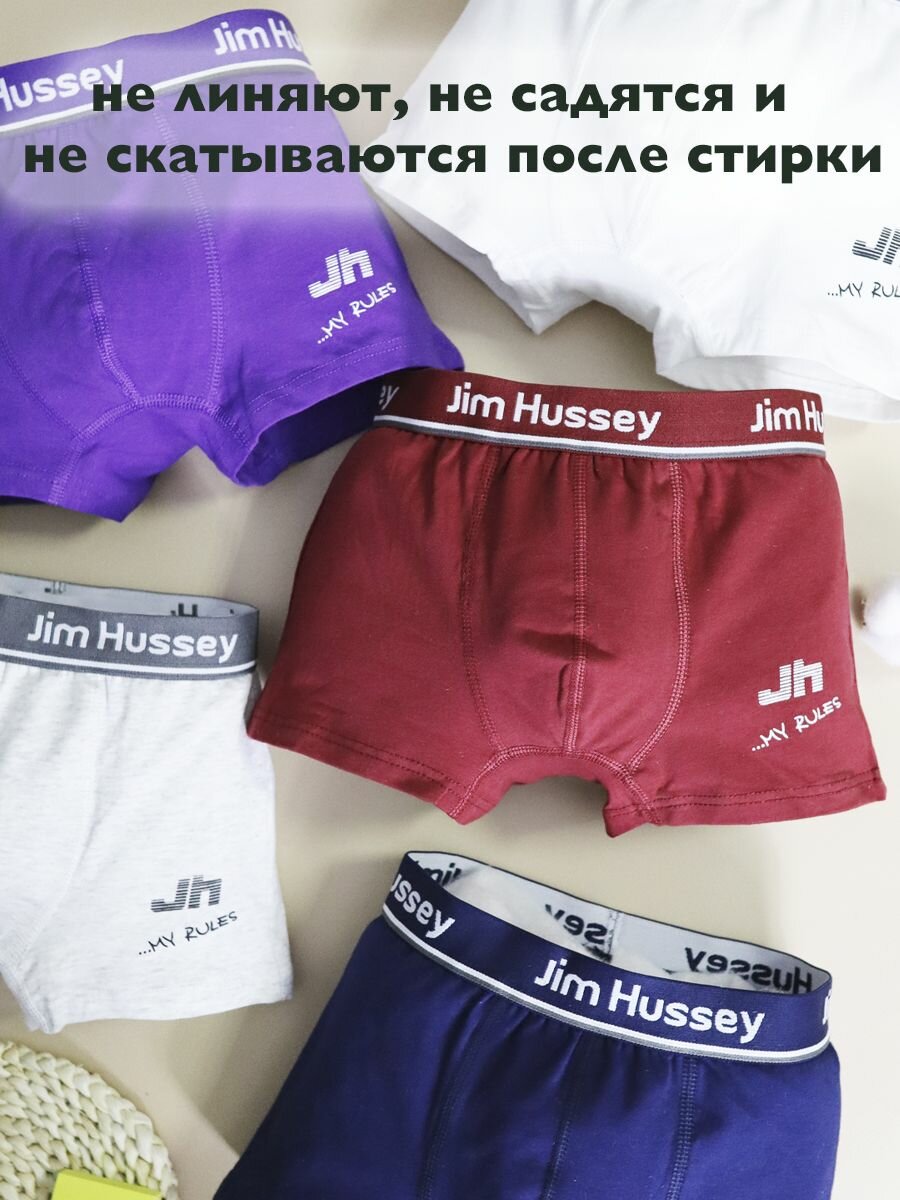 Трусы Jim Hussey, 5 шт., размер 99-110 (4-5) L, фиолетовый — фото 1