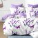 Постельное белье семейное с бабочками Cleo Pure cotton комплект 2...
