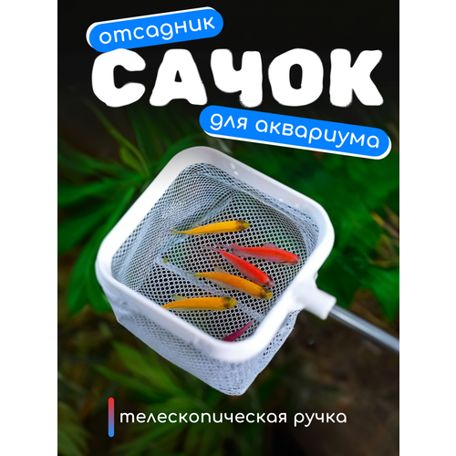 Сачок отсадник телескопический аквариумный для рыб, цвет белый