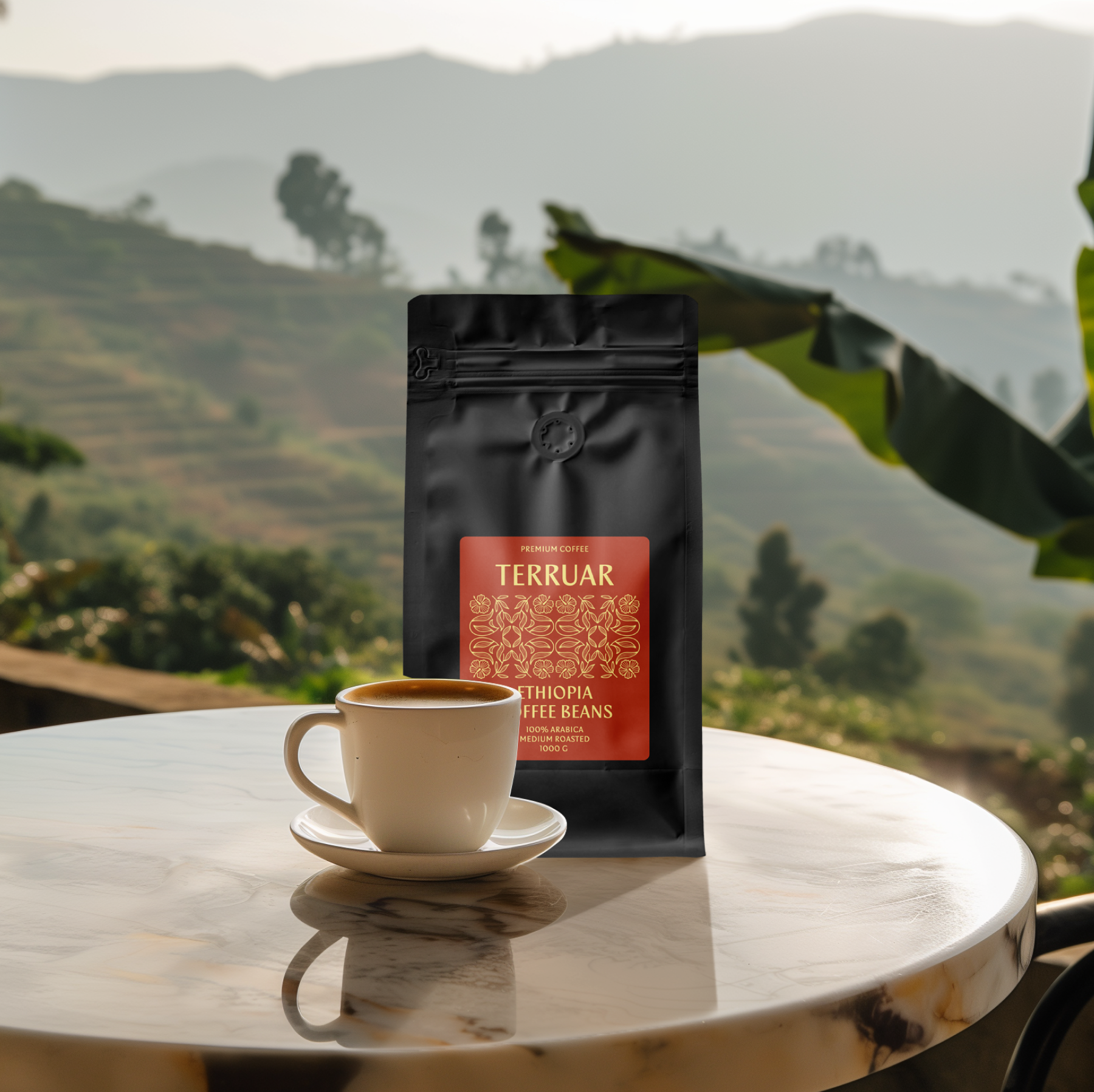 Кофе в зернах Terruar Эфиопия 100%, 1 кг