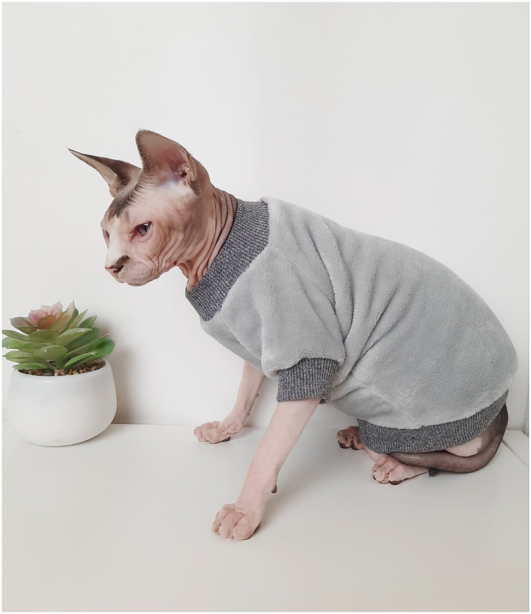 Толстовка, свитер, шуба для кошек сфинкс, размер 30 (длина спины 30см), цвет серый/ одежда для кошек сфинкс / одежда для животных - фотография № 5
