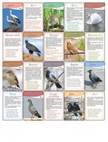 Набор карточек Лерман Шпаргалки для мамы. Животные и птицы. 3-12 лет (подарочное издание) 13x9 см 10