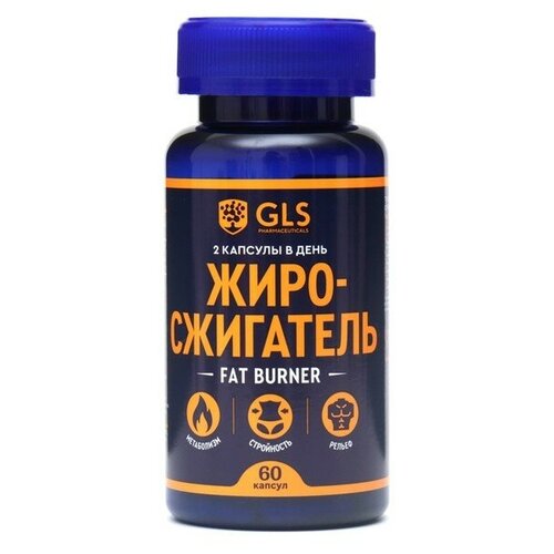 Жиросжигатель Fat Burner GLS для похудения, 60 капсул по 350 мг 9464488