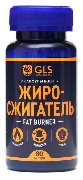 Жиросжигатель Fat Burner GLS для похудения 60 капсул по 350 мг 9464488