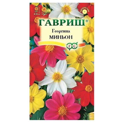 Семена Гавриш Георгина Миньон, смесь 0,3 г, 10 уп. семена цветов георгина миньон смесь 0 3 г