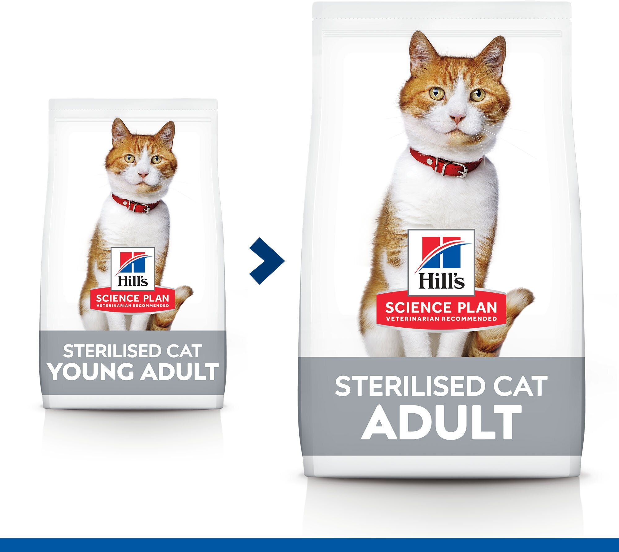 Сухой корм Hill's Science Plan Sterilised Cat Young для взрослых кошек /для взрослых кошек после стерилизации, тунец, 1.5кг - фото №4