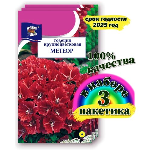 семена годецыя крупноцветковая метеор