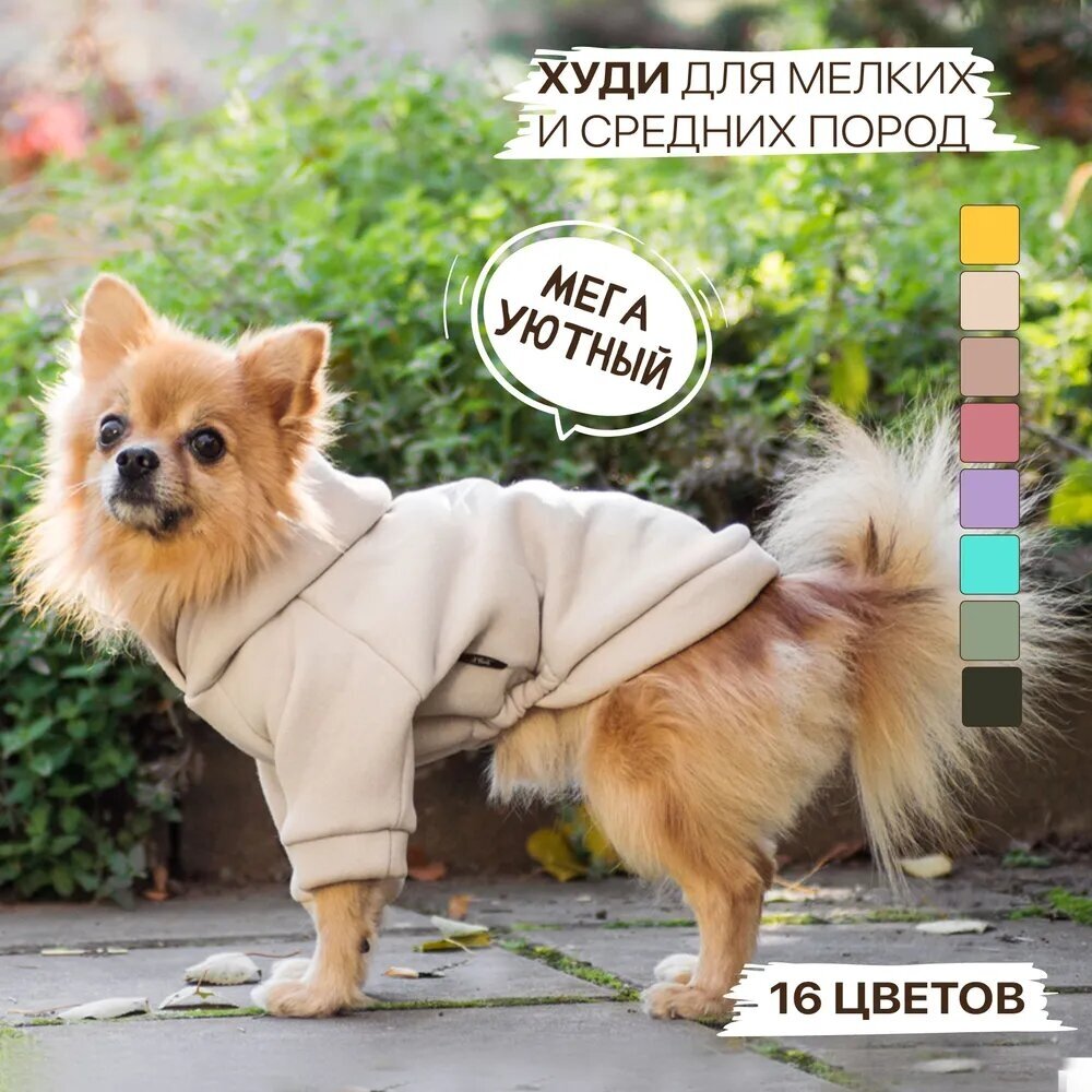 Толстовка худи для собаки с капюшоном, демисезонная одежда для животных, собак мелких и средних пород