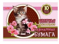 Цветная бумага бархатная Котенок в цветах Hatber, A5, 10 л., 10 цв.