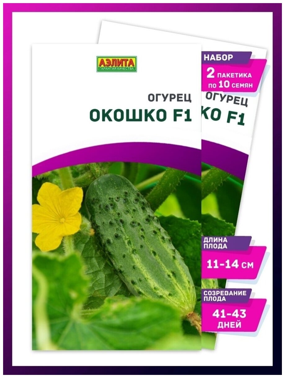 Семена Огурцов Окошко F1 - 2 пачки / Для выращивания в горшке на подоконнике или балконе / Урожай дома