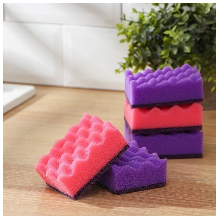 Набор губок для мытья посуды Raccoon "Кантри", 5 шт, 9,5х7х3,5 см, цвет фиолетовый, розовый