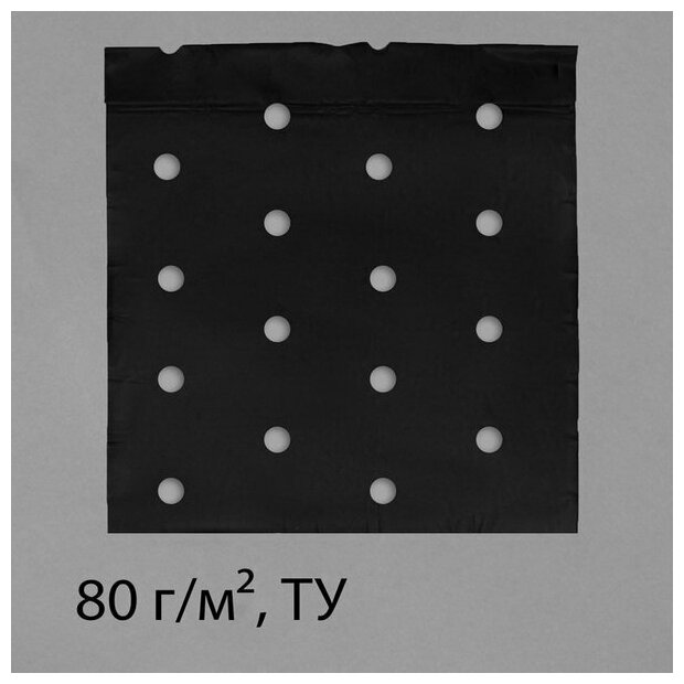 Материал мульчирующий, с перфорацией, 10 x 1.6 м, плотность 80 г/?2, спанбонд с УФ-стабилизатором, чёрный, Эконом 30%