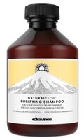 Davines шампунь Natural Tech Purifying 250 мл