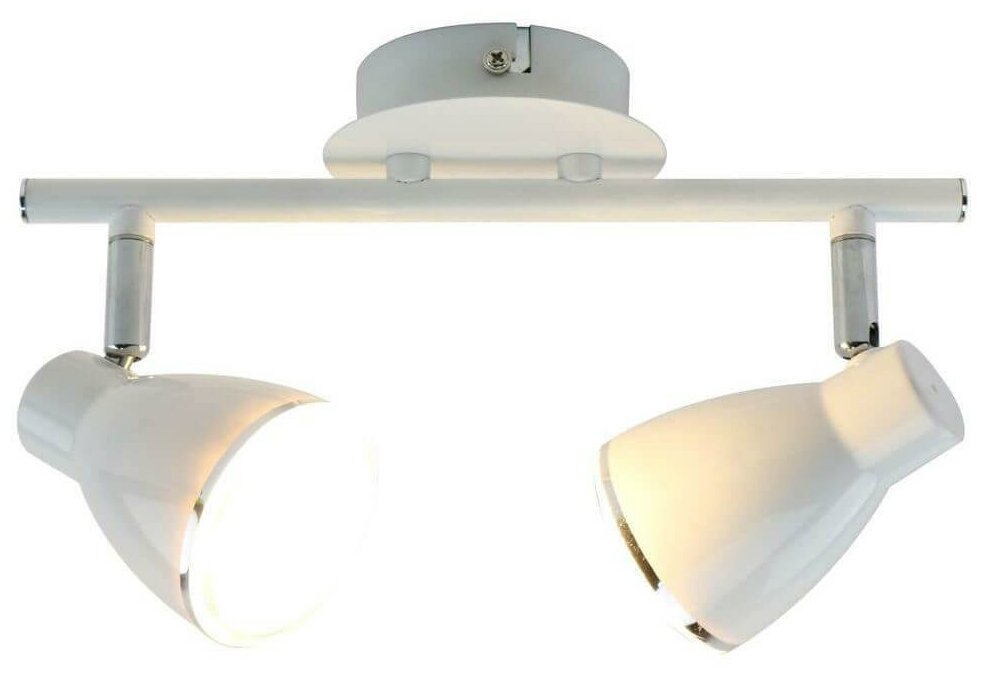 Потолочный светильник Arte Lamp Cosmopolitan A7210PL-2WH
