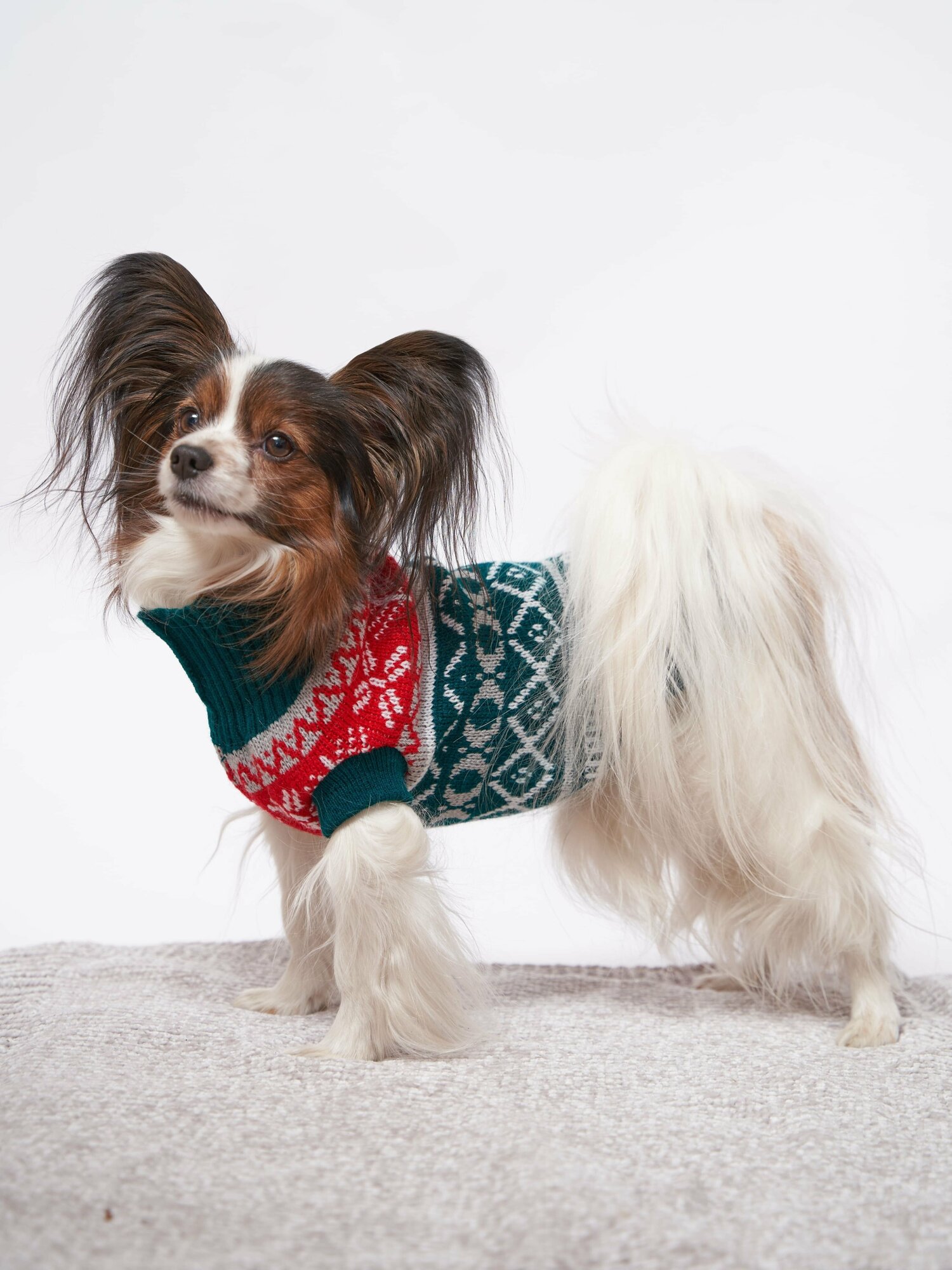 Свитер для собак мелких пород "Жакард" зеленый, XL (33-35 см ) - фотография № 3