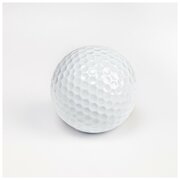 Мяч для гольфа, двухслойный, 420 выемок, d=4.3 см, 45 г