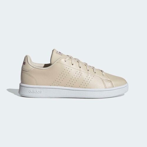 Кроссовки adidas Adidas Advantage Base, размер 5UK (38EU), бежевый