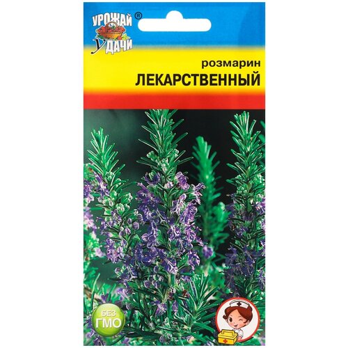 Семена Розмарин 