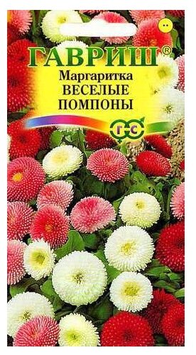 Семена Гавриш Маргаритка Веселые помпоны 0,02 г — фото 3