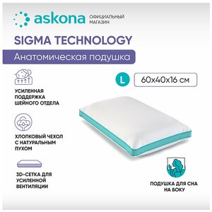 Анатомическая подушка Askona (Аскона) Sigma L серия Technology