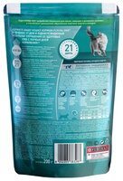 Корм для кошек Purina ONE (0.2 кг) Для домашних кошек с Индейкой и цельными злаками 0.2 кг