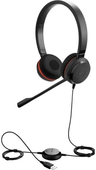 Гарнитура Jabra EVOLVE 20 MS Stereo (черный)