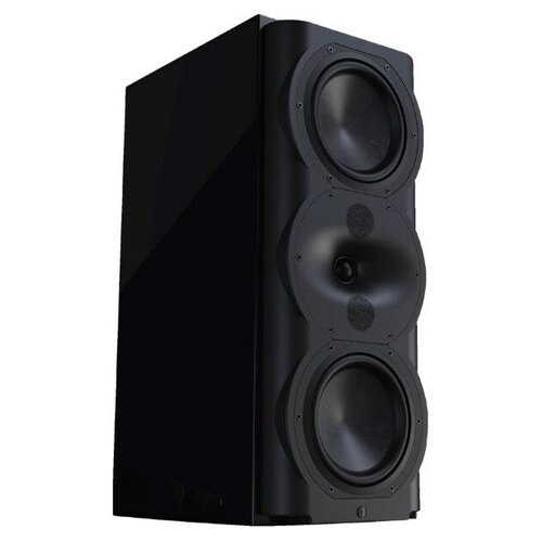 Полочная акустика Perlisten Audio R5m Black HG