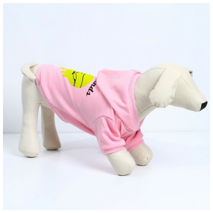 Толстовка для собак(футер петля двунитка) L Розовый Пушистое счастье 9345560 . - фотография № 1
