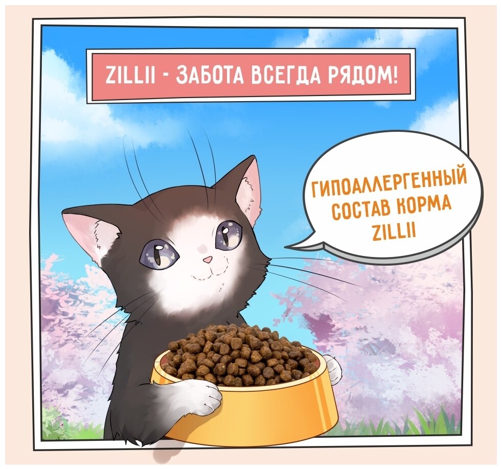 ZILLII (Зилли) Kitten Корм для котят сухой 2 кг Индейка с Ягнёнком, гипоаллергенный - фотография № 10