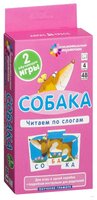 Набор карточек Айрис-Пресс Занимательные карточки. Комплект ЗК по обучению грамоте на поддончике (си