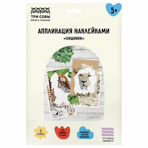 Аппликация наклейками ТРИ совы 