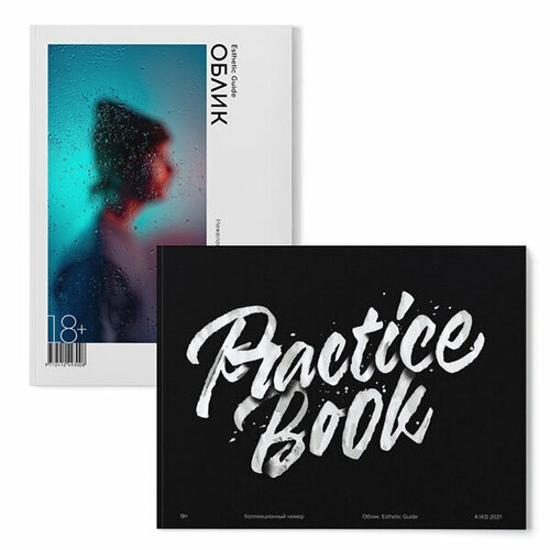 Practice book №43 + Esthetic Guide №44