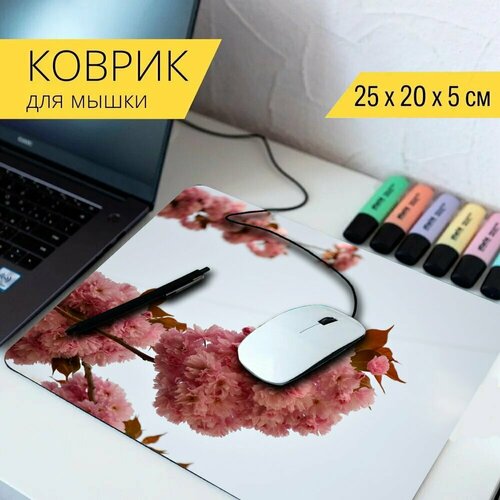 Коврик для мыши с принтом Цветущая вишня, цветок, сакура 25x20см.