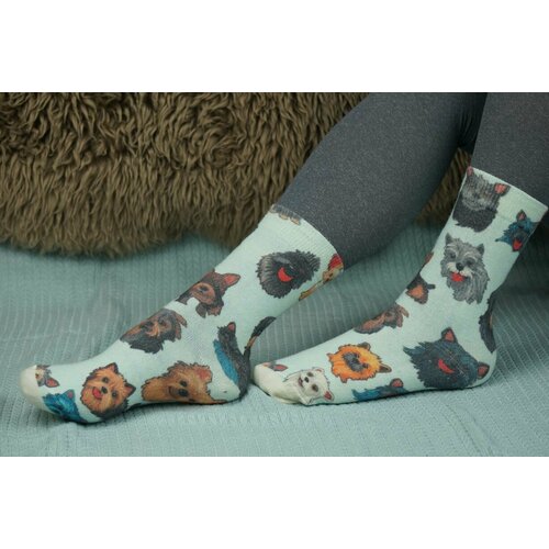 фото Носки шерстянки базовая коллекция, размер 42/45, черный, серый, белый, голубой, коричневый